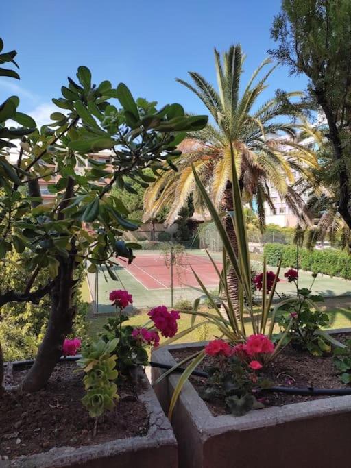 La Vie Est Belle! Hyeres